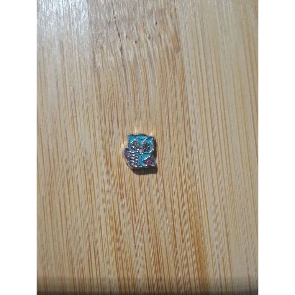 Turquoise and Pink Owl Floating Locket Charm